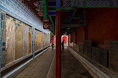 《光环：无限》多人模式第二赛季“孤狼”正式上线