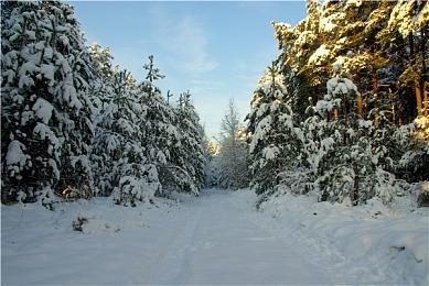武侠RPG《活侠传》反向跳票 6月14日发售